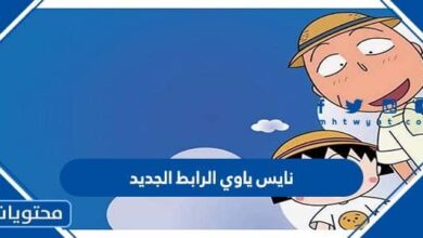 نايس ياوي الرابط الجديد 2025