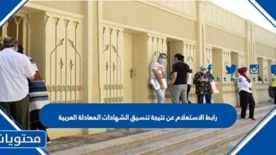 رابط الاستعلام عن نتيجة تنسيق الشهادات المعادلة العربية 2025